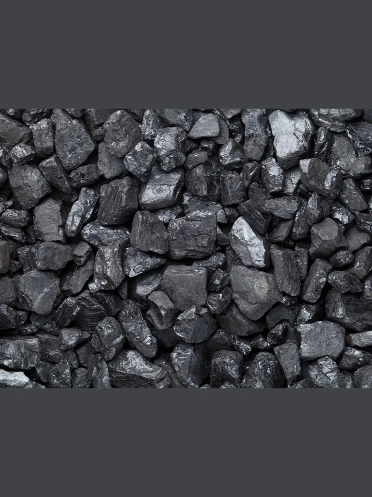 Coal-Based Activated Carbon