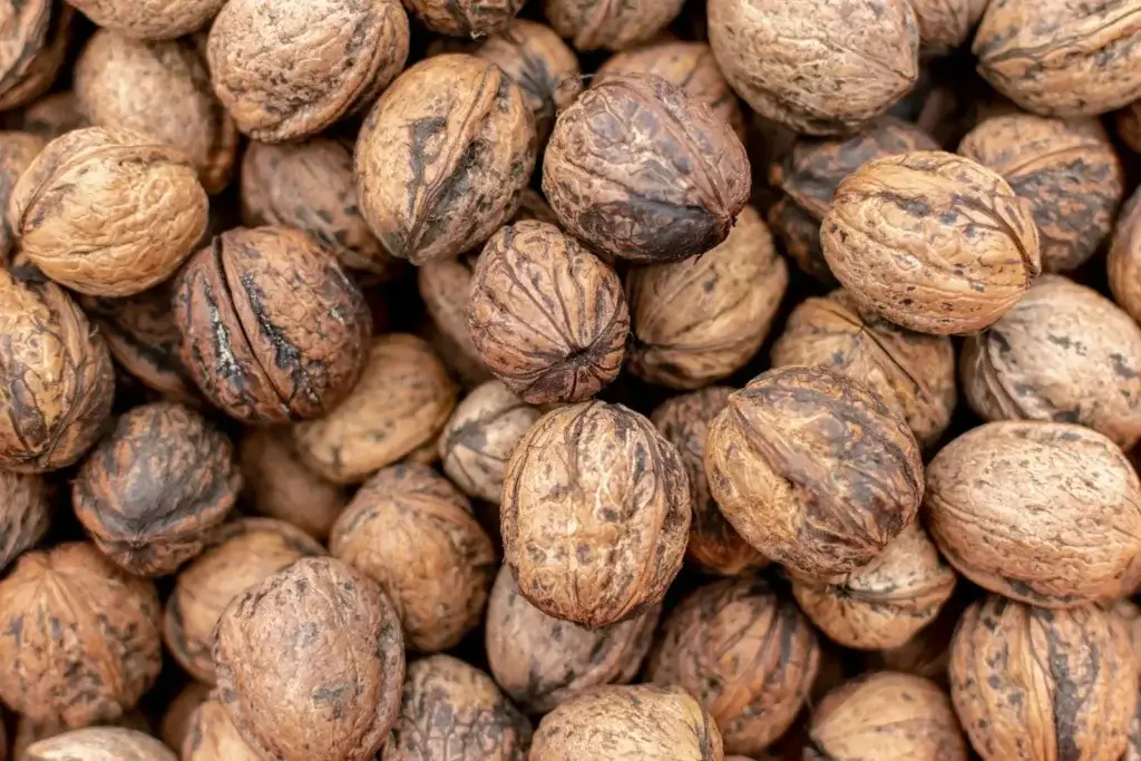 Walnut Shell Activated Carbon Link Image