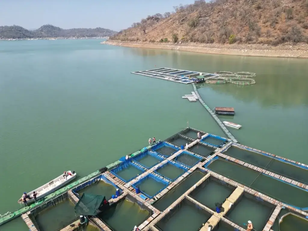 Aerial view of a traditional fish farm on a serene lake with clear skies and surrounding hills.