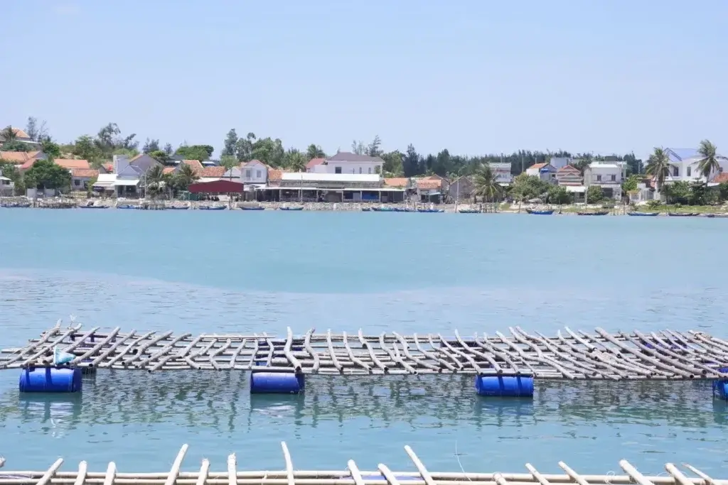 Serene coastal village scene with aquaculture structures floating in calm, clear water.