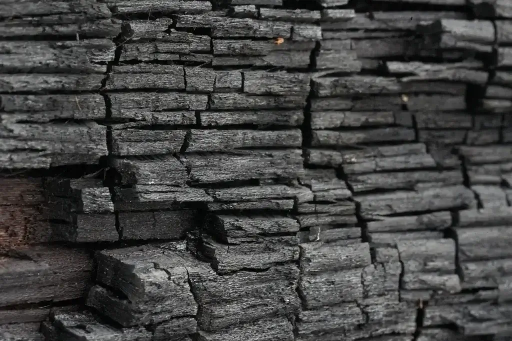 Detailed close-up of charred wood displaying intricate texture and pattern.