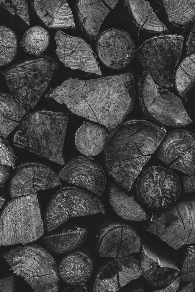 A detailed black and white image of stacked firewood logs showcasing intricate wood textures.