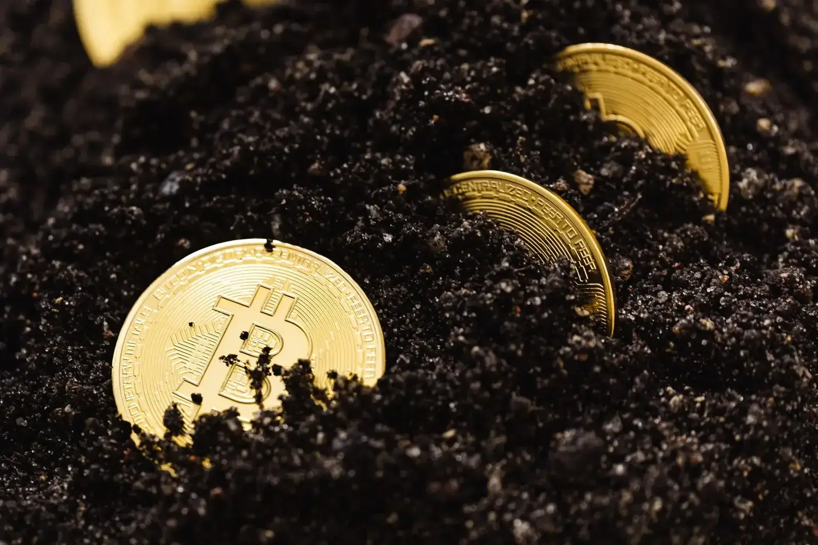 Nahaufnahme von goldenen Bitcoins, die teilweise in dunkler, fruchtbarer Erde vergraben sind und das Wachstum der digitalen Währung symbolisieren.